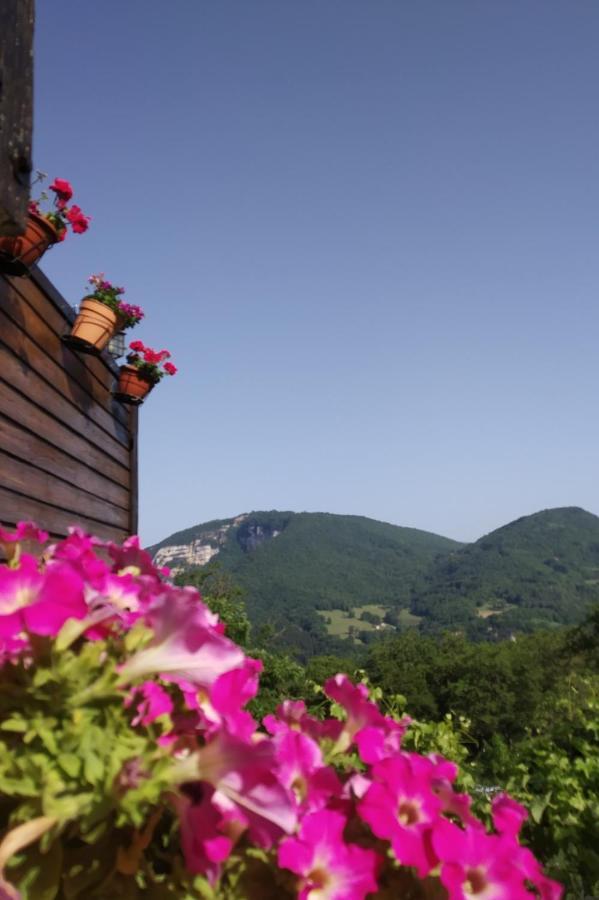 Au chalet d'Anna Saint-Rambert-en-Bugey Extérieur photo